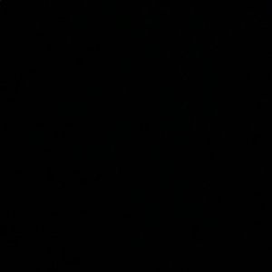 Meet your Posher, Blake